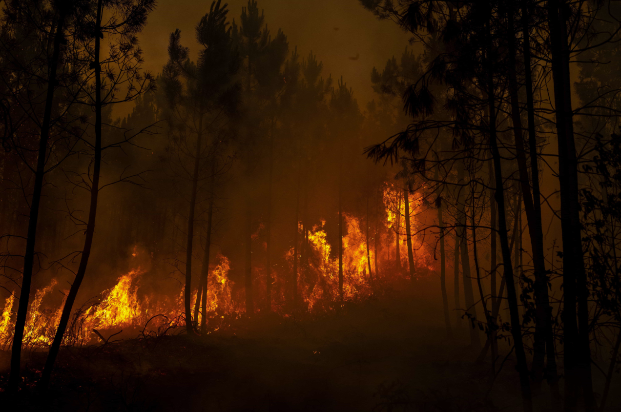 Wild Fires in Europe